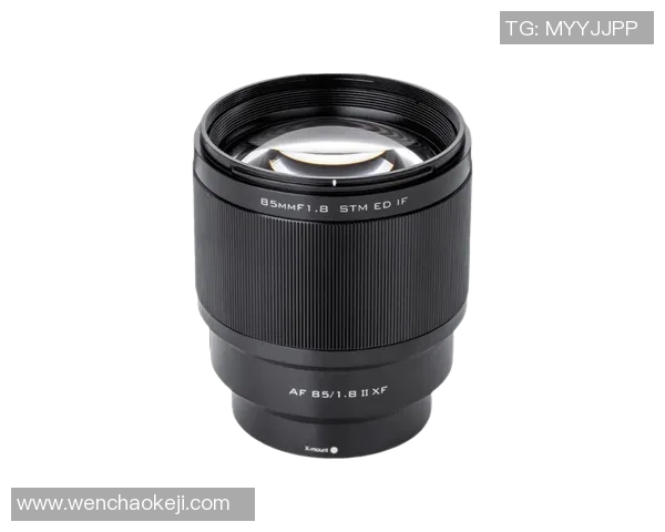 足球蓝汇：探索全球足球文化与赛事动态的全新视角与深度解析