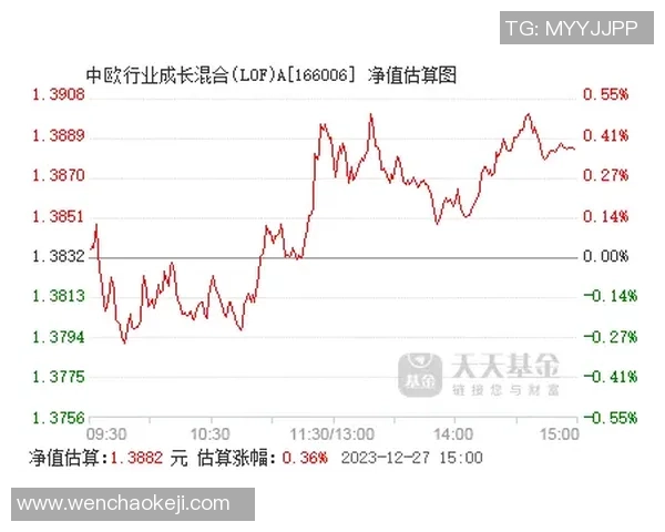 陈磊专访:从羽毛球新星到行业领军者的成长之路回顾